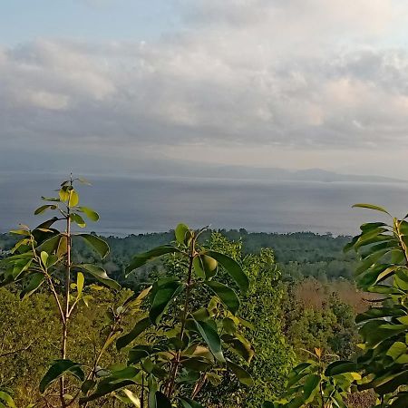 Rumah Pohon Batununggul المظهر الخارجي الصورة