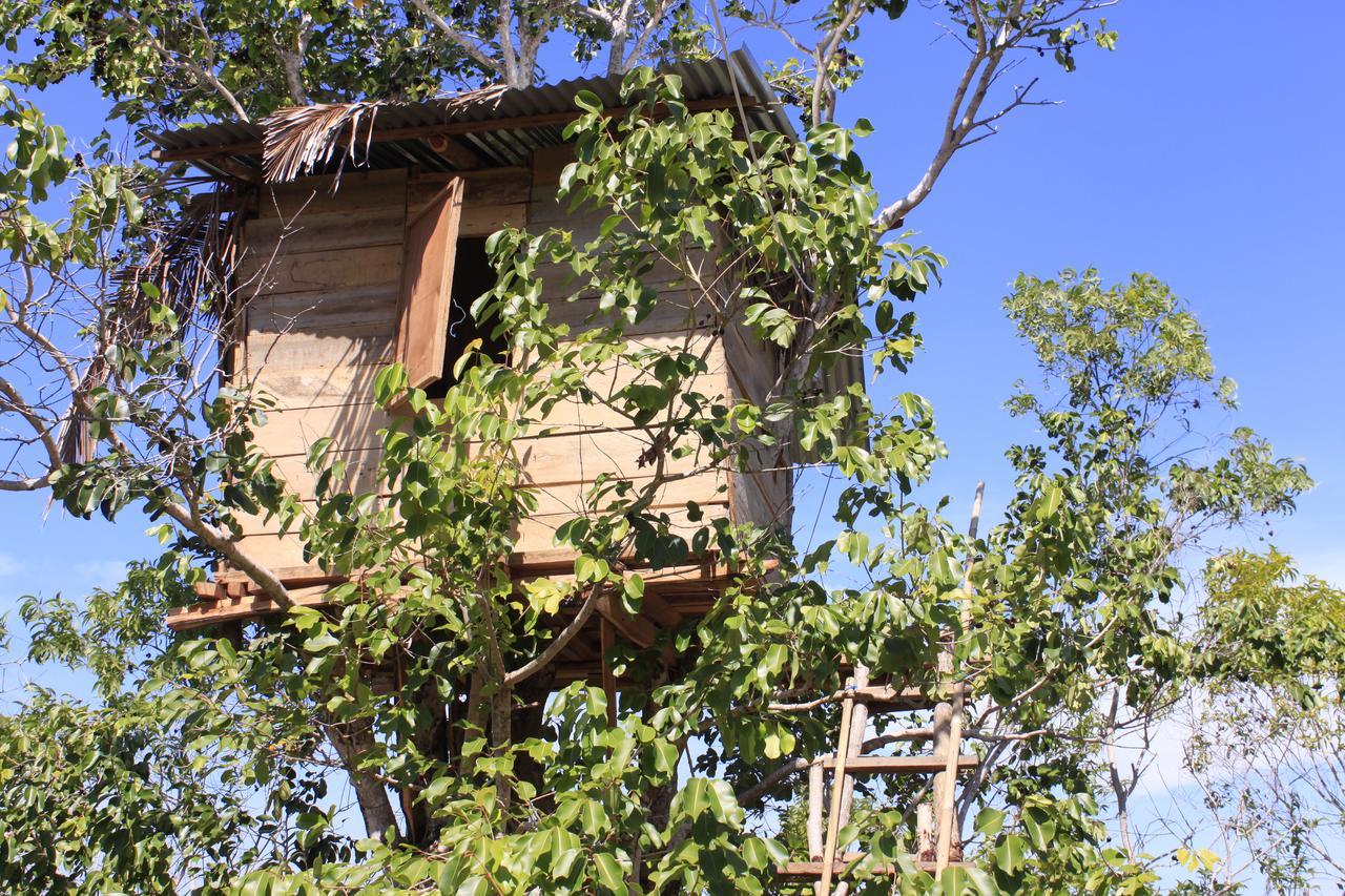 Rumah Pohon Batununggul المظهر الخارجي الصورة